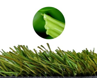 wave-shape